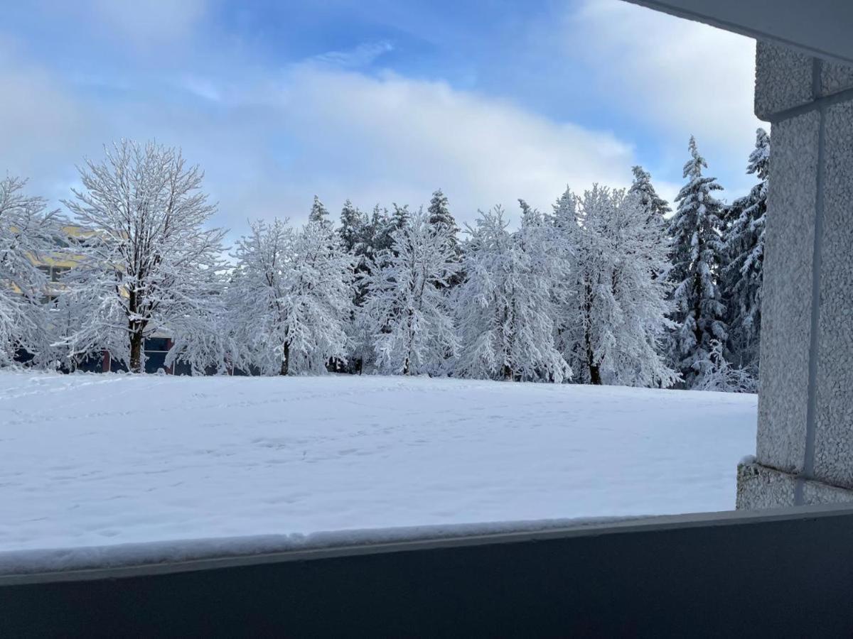 גוסלר Ferienwohnung Auenglueck Hahnenklee Harz מראה חיצוני תמונה