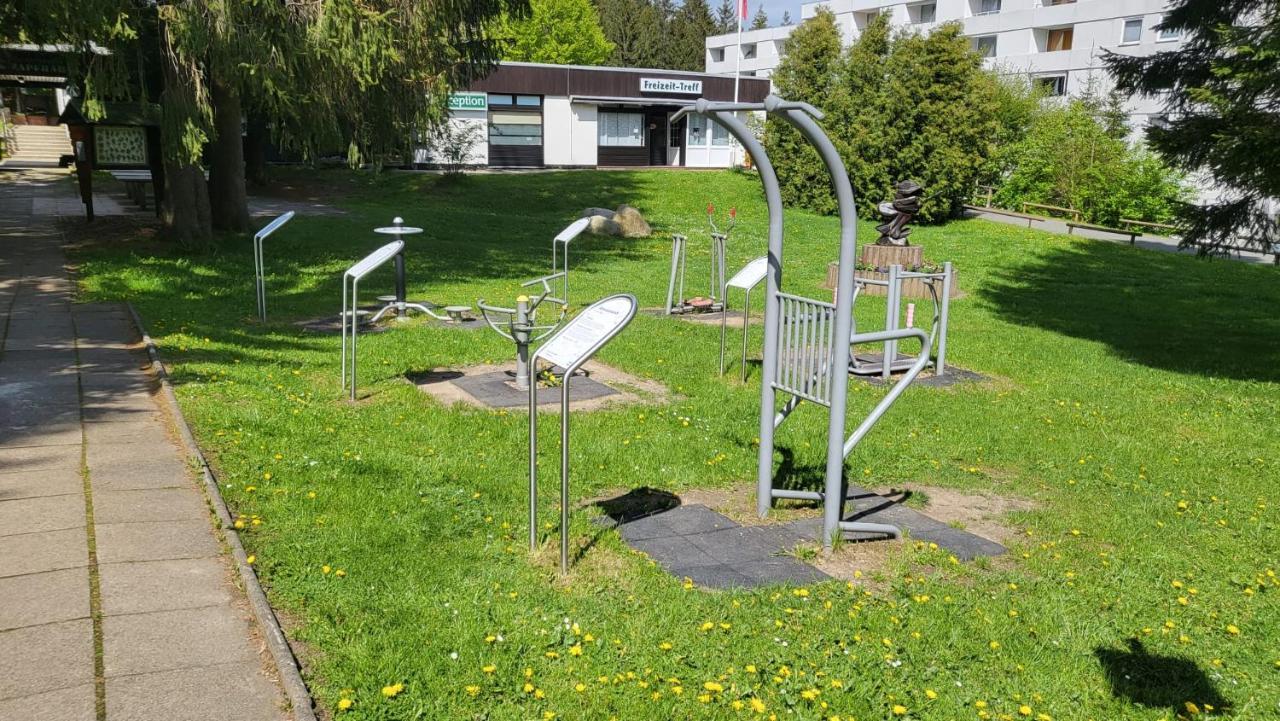 גוסלר Ferienwohnung Auenglueck Hahnenklee Harz מראה חיצוני תמונה