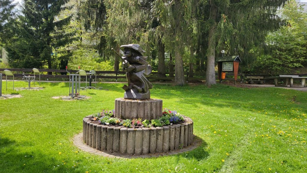 גוסלר Ferienwohnung Auenglueck Hahnenklee Harz מראה חיצוני תמונה