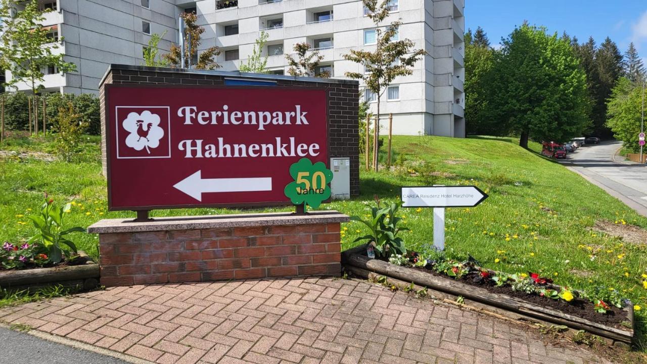 גוסלר Ferienwohnung Auenglueck Hahnenklee Harz מראה חיצוני תמונה
