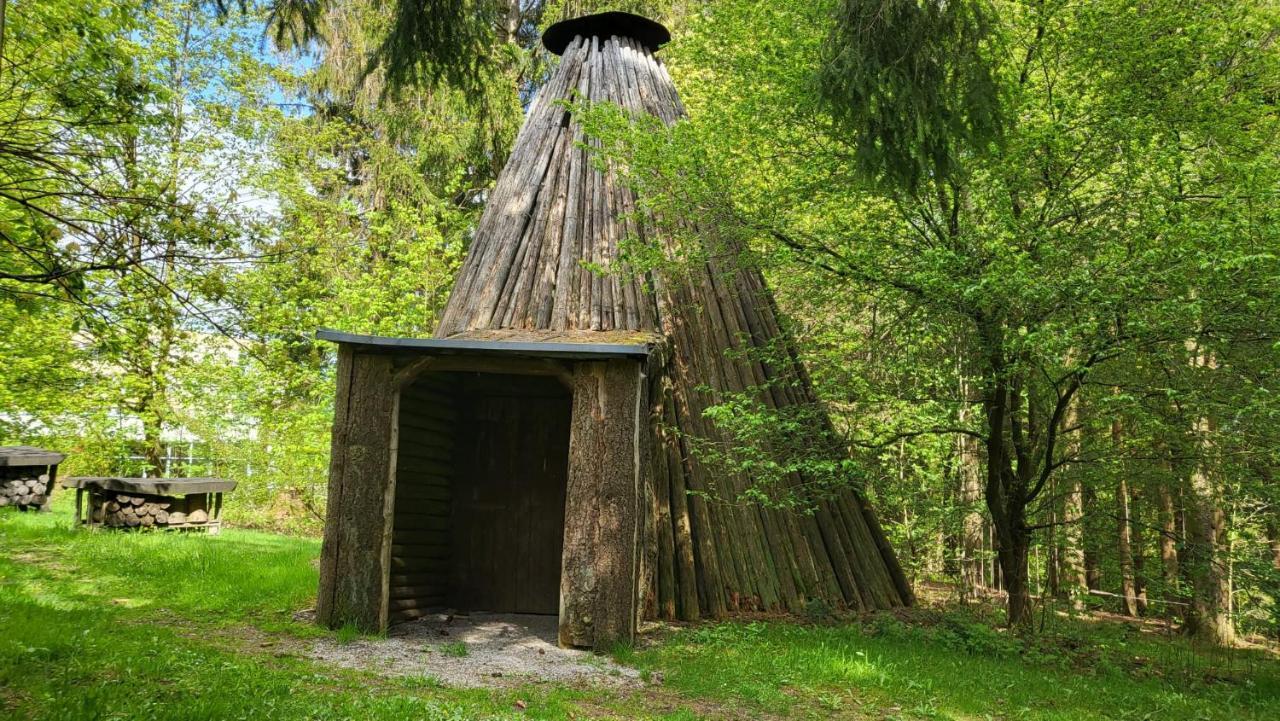 גוסלר Ferienwohnung Auenglueck Hahnenklee Harz מראה חיצוני תמונה