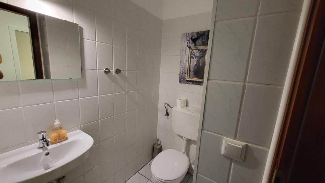 גוסלר Ferienwohnung Auenglueck Hahnenklee Harz מראה חיצוני תמונה