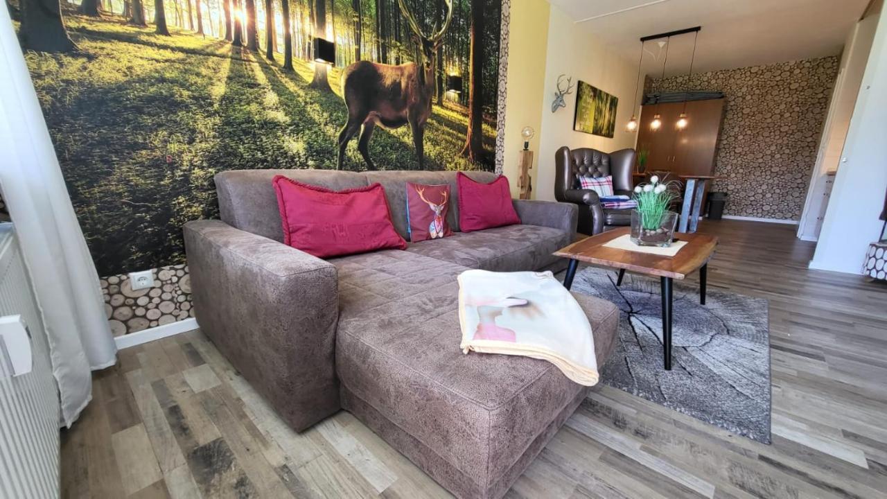גוסלר Ferienwohnung Auenglueck Hahnenklee Harz מראה חיצוני תמונה